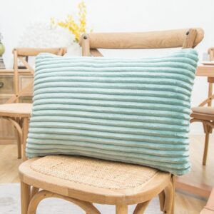 Soft Velvet Decorative Pillow Cover